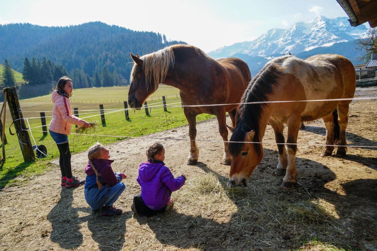 Ferienwohnungen Foidlhof Hochfilzen Luaran gambar